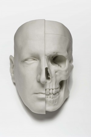 Sam Jinks, Calcium divide, 2011, calcium carbonate resin, 20 x 15 x 17.2cm Sam Jinks, Calcium divide, 2011, calcium carbonate resin, 20 x 15 x 17.2cm
